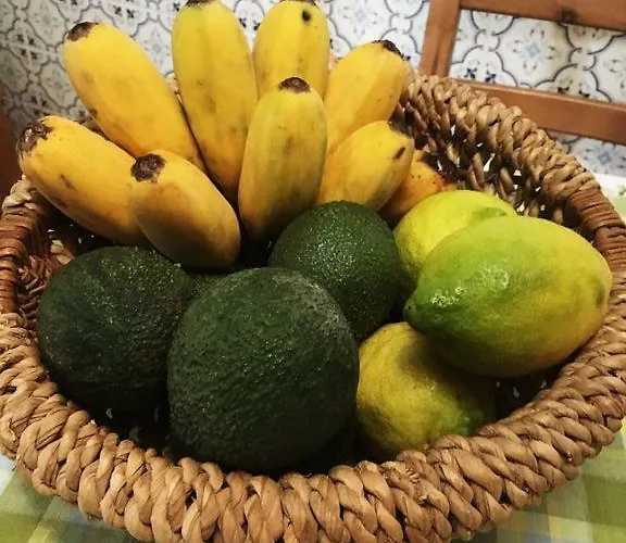 Casa D'olivia * Porto Da Cruz