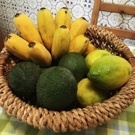Casa D'olivia * Porto da Cruz
