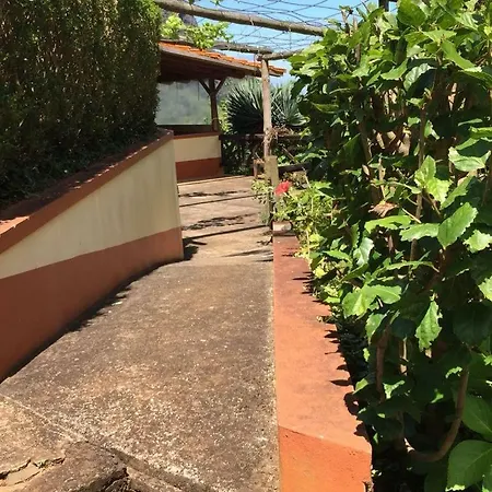 Дом отдыха Casa D'olivia *