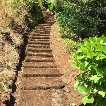 Casa D'olivia Ferienhaus