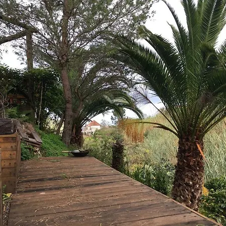 Casa D'olivia Ferienhaus