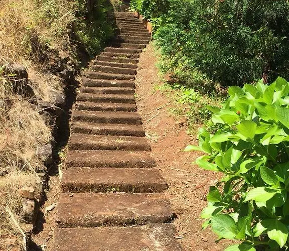 Casa D'olivia Tatil Evi