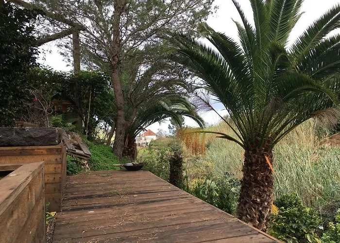 Casa D'olivia Tatil Evi